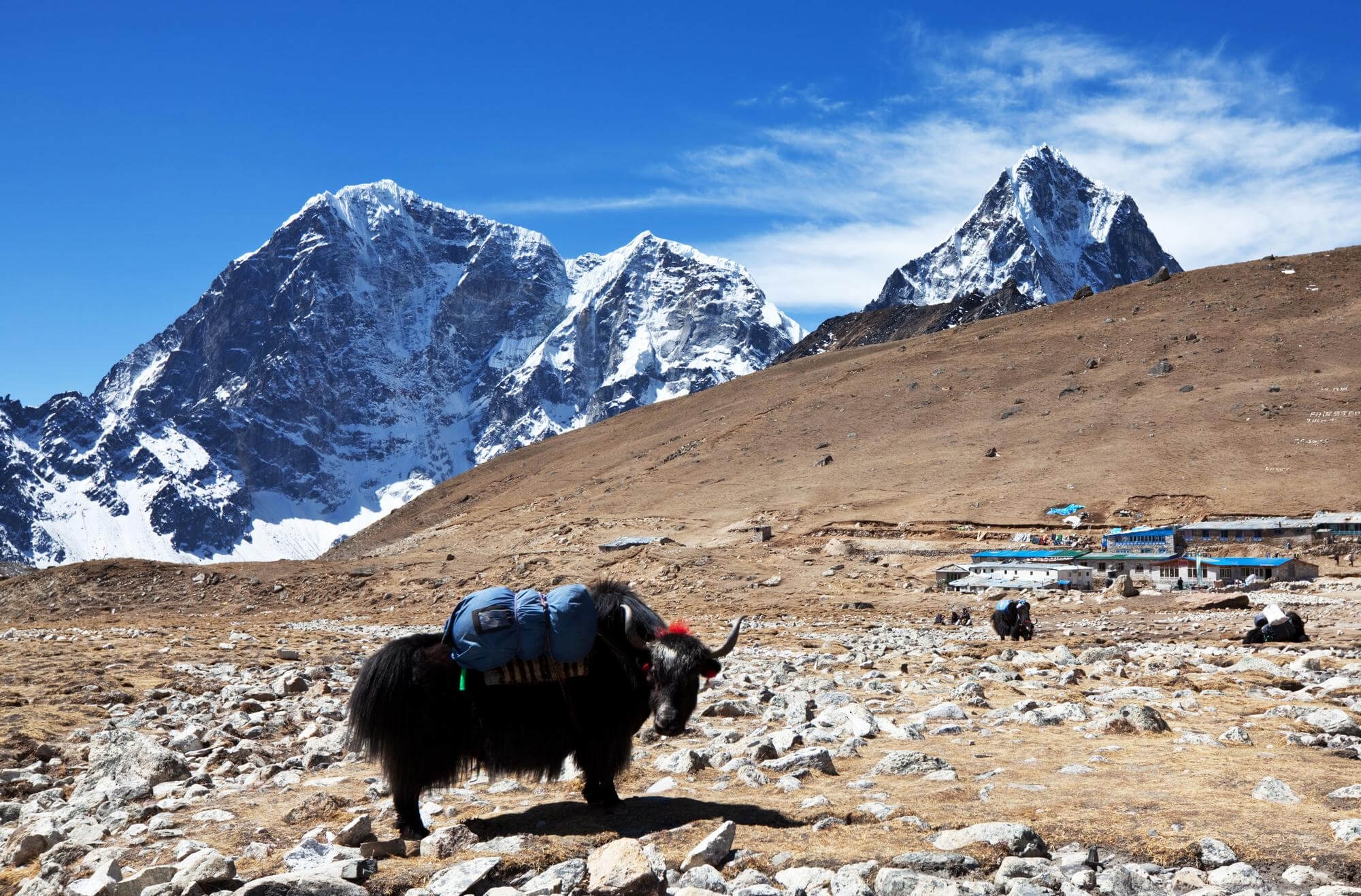 BESPOKE HIMALAYAN JOURNEYS TAILORED TO YOUR BUDGET